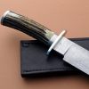 Donald Lange ABS Master Smith Stainless Steel Ladder Pattern Damascus Bowie forged with Stag