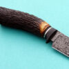Cristain Silva Forged Damascus Peccary Drop Point Hunting Knife Argentina made Amber Stag